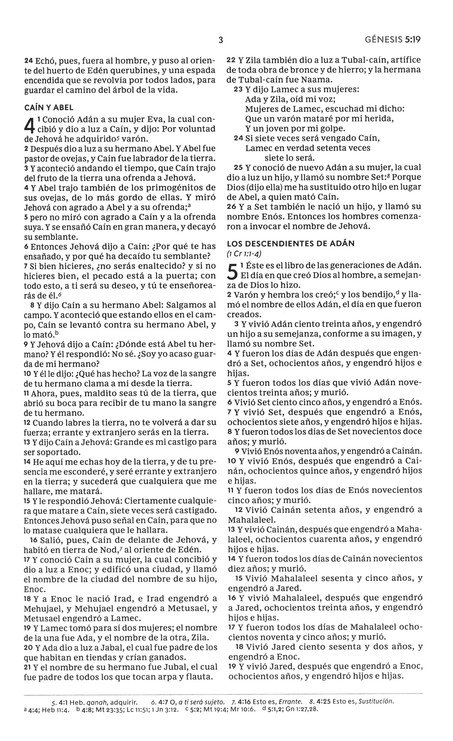 RVR60 Biblia del Nuevo Creyente "Todo Nuevo" - Imitación Piel - Imagen 6