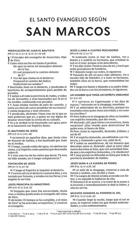 RVR60 Biblia del Nuevo Creyente "Todo Nuevo" - Imitación Piel - Imagen 7