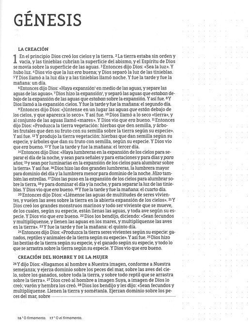 NBLA Santa Biblia para Notas Tapa Dura Gris - Imagen 4