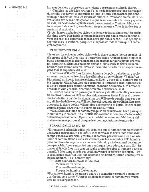 NBLA Santa Biblia para Notas Tapa Dura Gris - Imagen 5