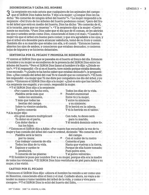 NBLA Santa Biblia para Notas Tapa Dura Gris - Imagen 6