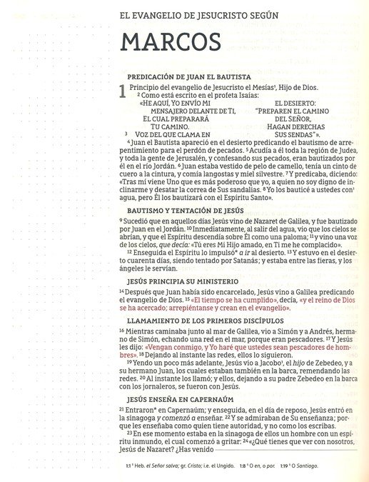 NBLA Santa Biblia para Notas Tapa Dura Gris - Imagen 7