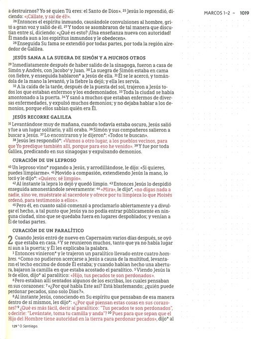NBLA Santa Biblia para Notas Tapa Dura Gris - Imagen 8