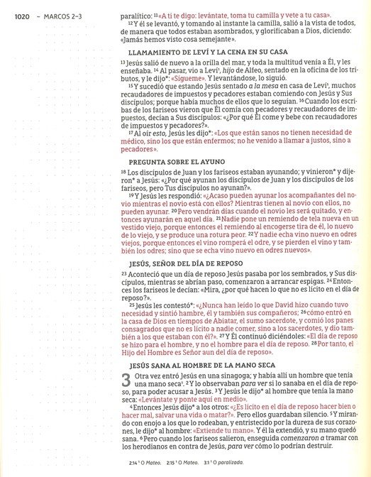 NBLA Santa Biblia para Notas Tapa Dura Gris - Imagen 9