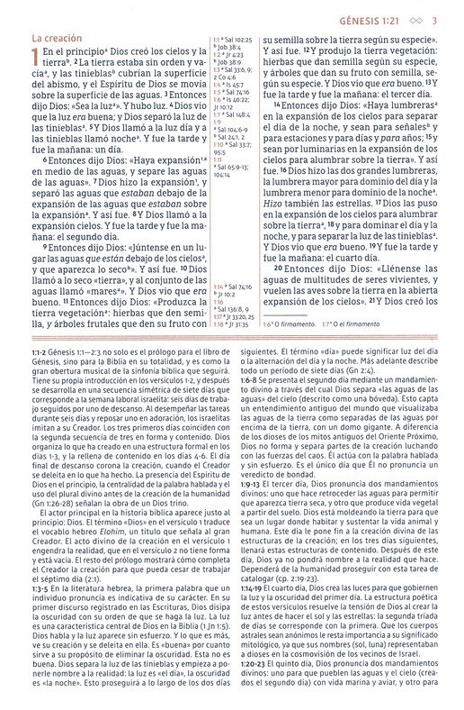 NBLA Biblia de Estudio Gracia y Verdad - Imitación Piel - Café con Indice - Imagen 4