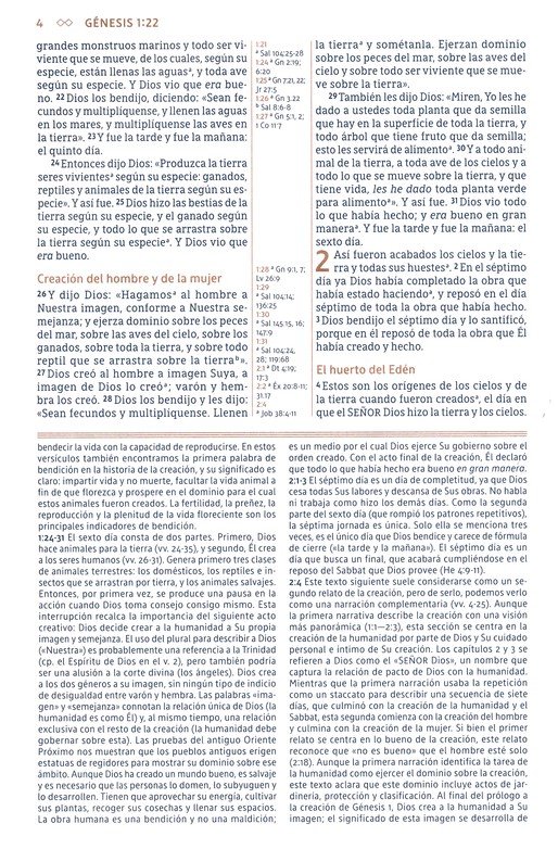 NBLA Biblia de Estudio Gracia y Verdad - Imitación Piel - Café con Indice - Imagen 5