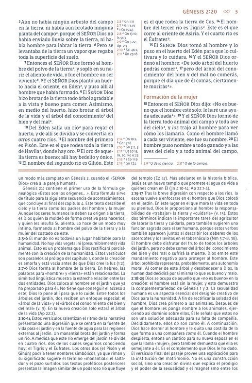 NBLA Biblia de Estudio Gracia y Verdad - Imitación Piel - Café con Indice - Imagen 6