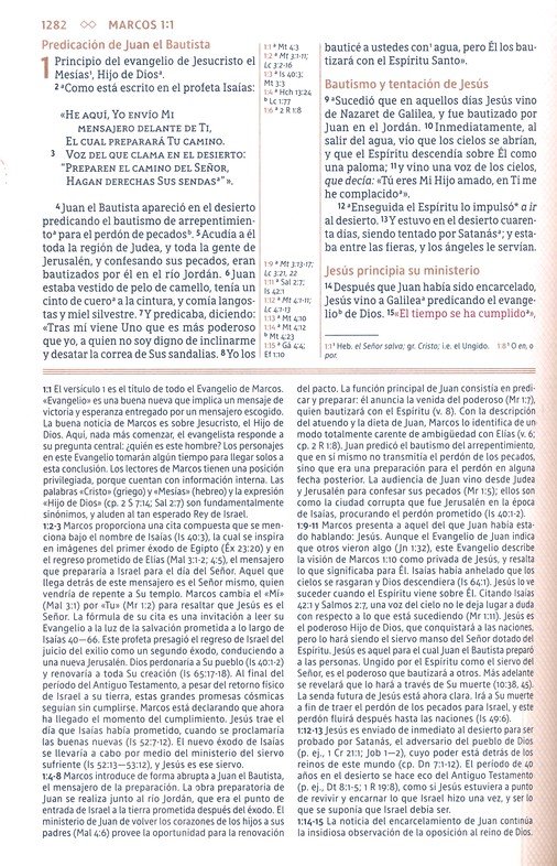 NBLA Biblia de Estudio Gracia y Verdad - Imitación Piel - Café con Indice - Imagen 7