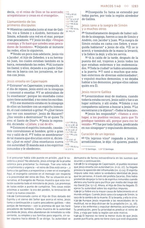 NBLA Biblia de Estudio Gracia y Verdad - Imitación Piel - Café con Indice - Imagen 8
