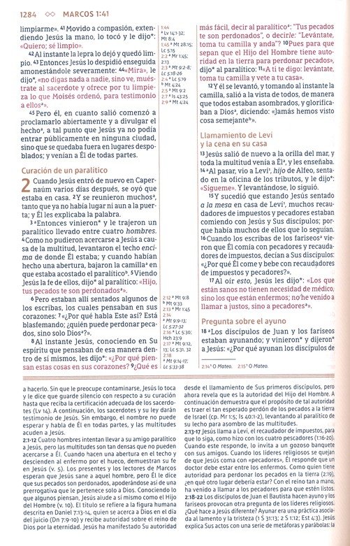 NBLA Biblia de Estudio Gracia y Verdad - Imitación Piel - Café con Indice - Imagen 9