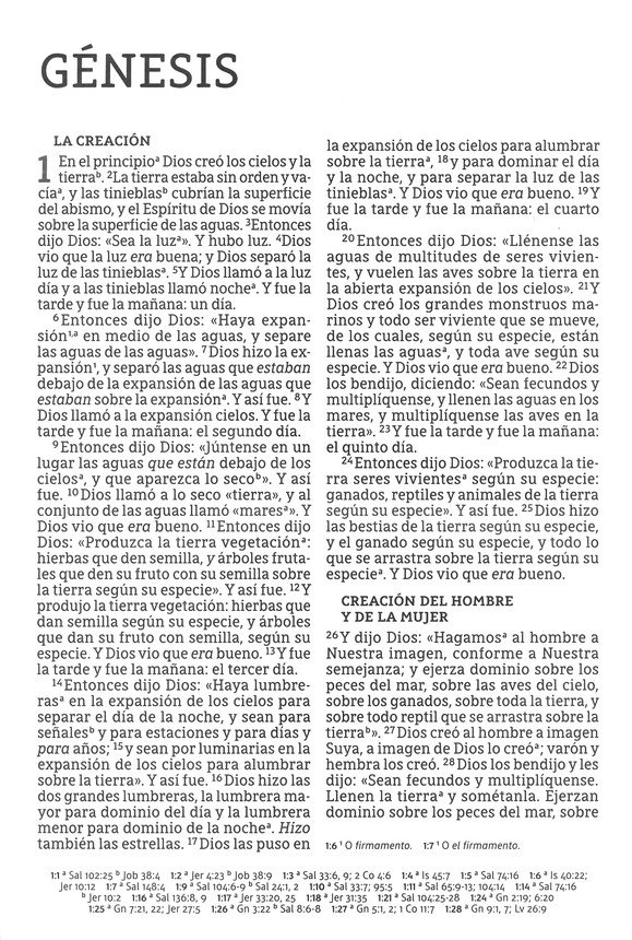 NBLA Santa Biblia Letra Supergigante Imitación Piel, Beige - Imagen 5