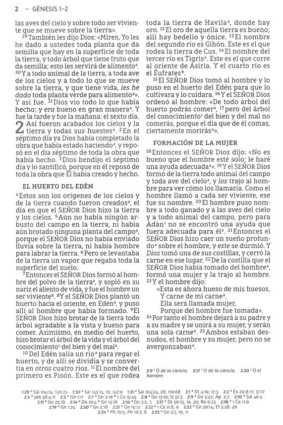 NBLA Santa Biblia Letra Supergigante Imitación Piel, Beige - Imagen 6