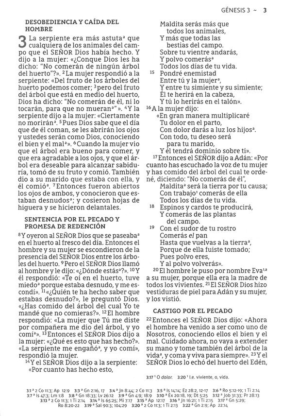 NBLA Santa Biblia Letra Supergigante Imitación Piel, Beige - Imagen 7