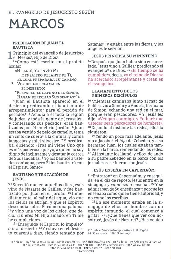 NBLA Santa Biblia Letra Supergigante Imitación Piel, Beige - Imagen 8