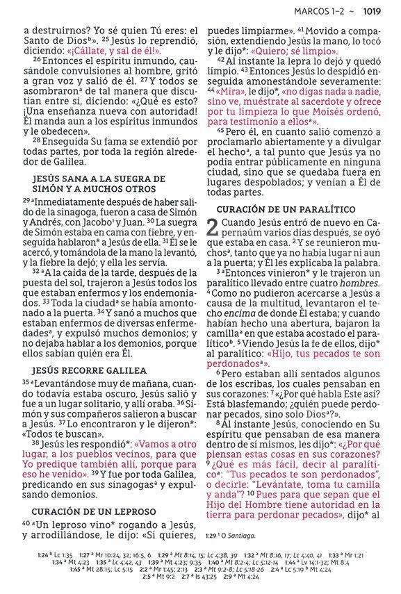 NBLA Santa Biblia Letra Supergigante Imitación Piel, Beige - Imagen 9