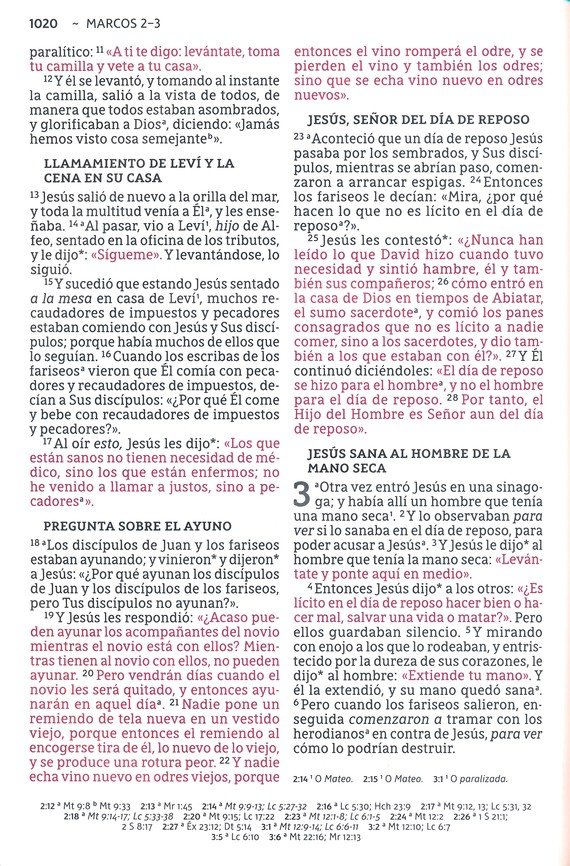 NBLA Santa Biblia Letra Supergigante Imitación Piel, Beige - Imagen 10
