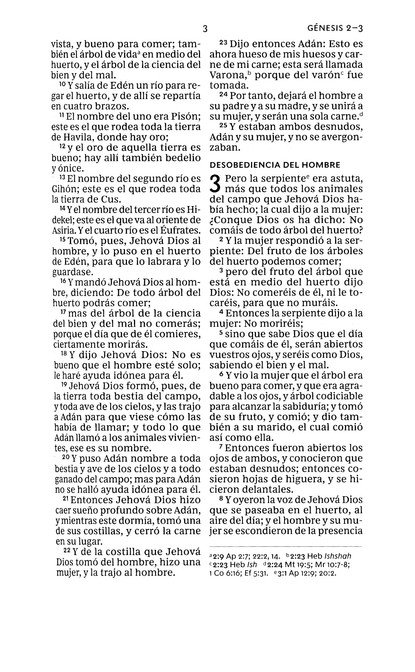 RVR60 Santa Biblia Compacta Letra Grande Imitación Piel Café con Cierre - Imagen 7