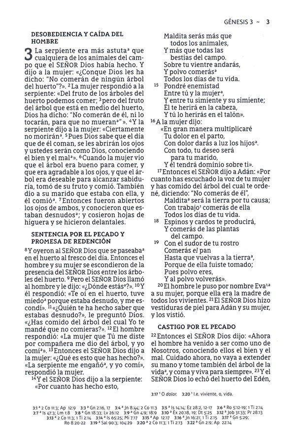 NBLA Santa Biblia Letra Supergigante Tapa Dura, Tela, Gris - Imagen 6