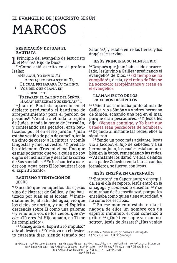 NBLA Santa Biblia Letra Supergigante Tapa Dura, Tela, Gris - Imagen 7