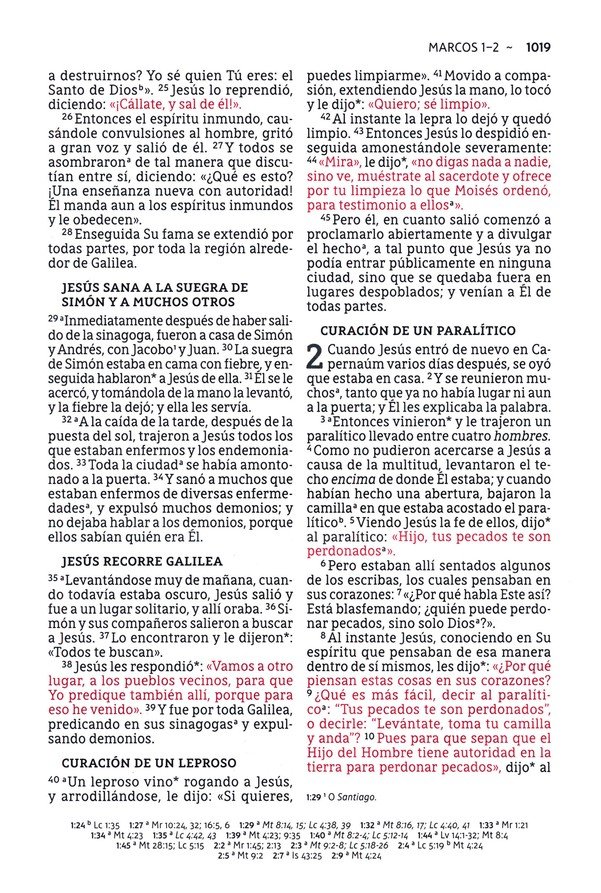 NBLA Santa Biblia Letra Supergigante Tapa Dura, Tela, Gris - Imagen 8
