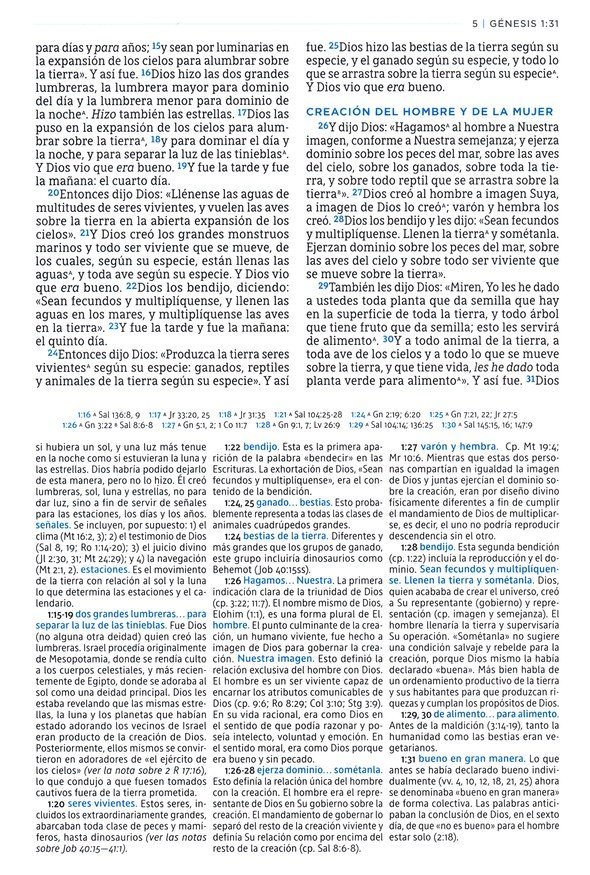 NBLA Biblia de Estudio MacArthur, Imitación Piel, Café - John MacArthur - Imagen 5