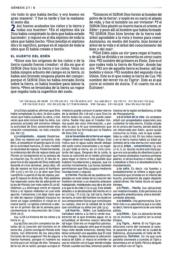 NBLA Biblia de Estudio MacArthur, Imitación Piel, Café - John MacArthur - Imagen 6