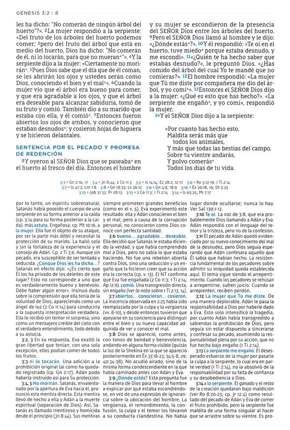 NBLA Biblia de Estudio MacArthur, Imitación Pie, Café con Indice - Imagen 6