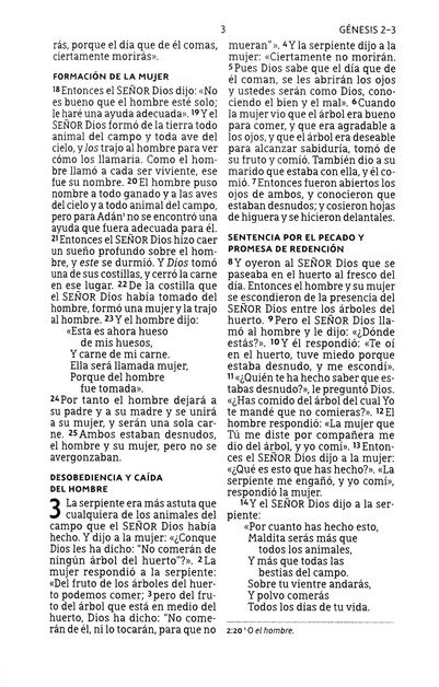 NBLA Santa Biblia Letra Grande Tamaño Compacto, Tapa Dura, Tela, Gris - Imagen 7