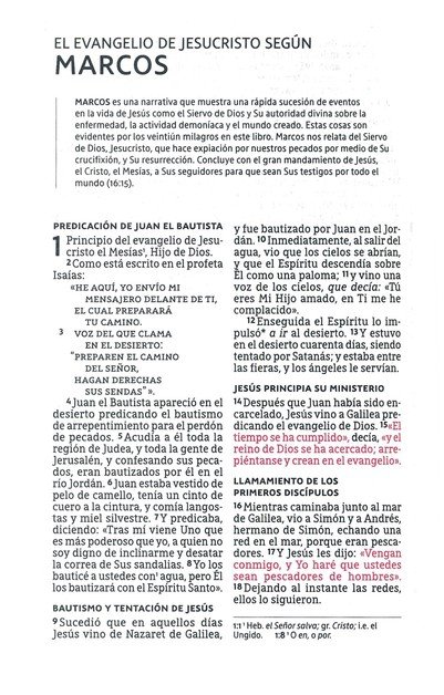 NBLA Santa Biblia Letra Grande Tamaño Compacto, Tapa Dura, Tela, Gris - Imagen 8