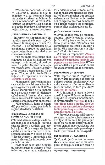 NBLA Santa Biblia Letra Grande Tamaño Compacto, Tapa Dura, Tela, Gris - Imagen 9