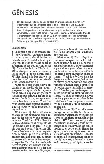 NBLA Santa Biblia Letra Grande Tamaño Compacto, Imitación Piel, Beige - Imagen 4