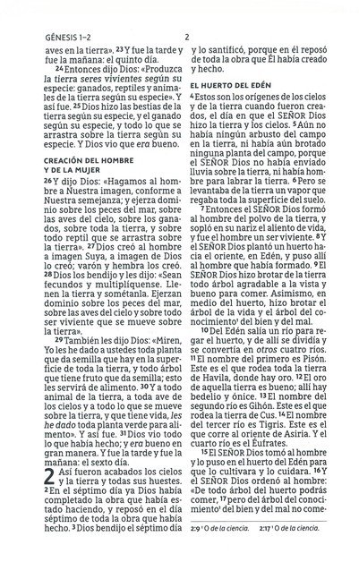 NBLA Santa Biblia Letra Grande Tamaño Compacto, Imitación Piel, Beige - Imagen 5