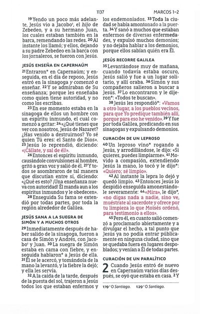 NBLA Santa Biblia Letra Grande Tamaño Compacto, Imitación Piel, Beige - Imagen 8