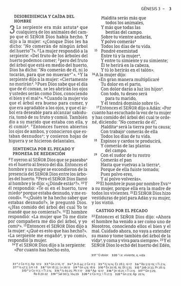 NBLA Santa Biblia, Letra Grande, Tamaño Compacto, Imitación Piel, Azul Marino con Cierre - Imagen 6