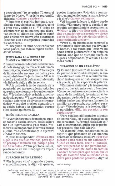 NBLA Santa Biblia, Letra Grande, Tamaño Compacto, Imitación Piel, Azul Marino con Cierre - Imagen 8