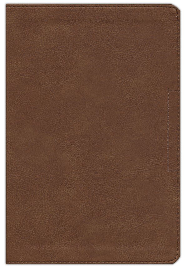 NVI Santa Biblia, Max Lucado, Palabra de Aliento, Imitación Piel, Café, Interior a Dos Colores - Imagen 3