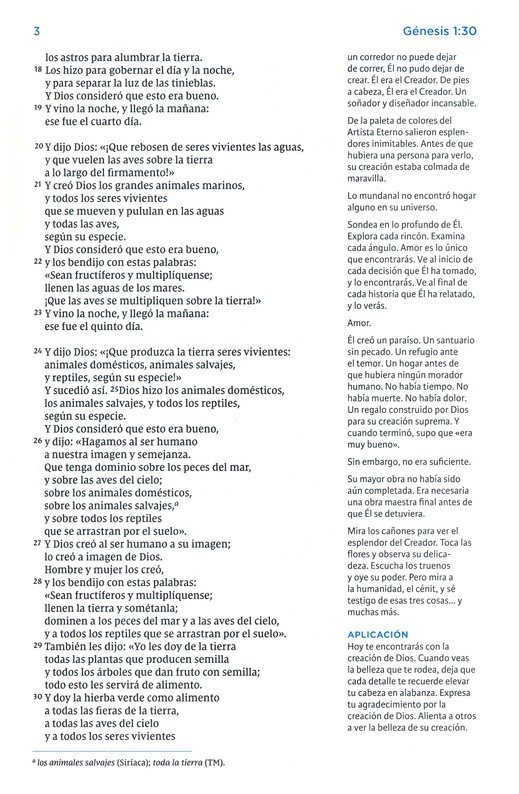 NVI Santa Biblia, Max Lucado, Palabra de Aliento, Imitación Piel, Café, Interior a Dos Colores - Imagen 6