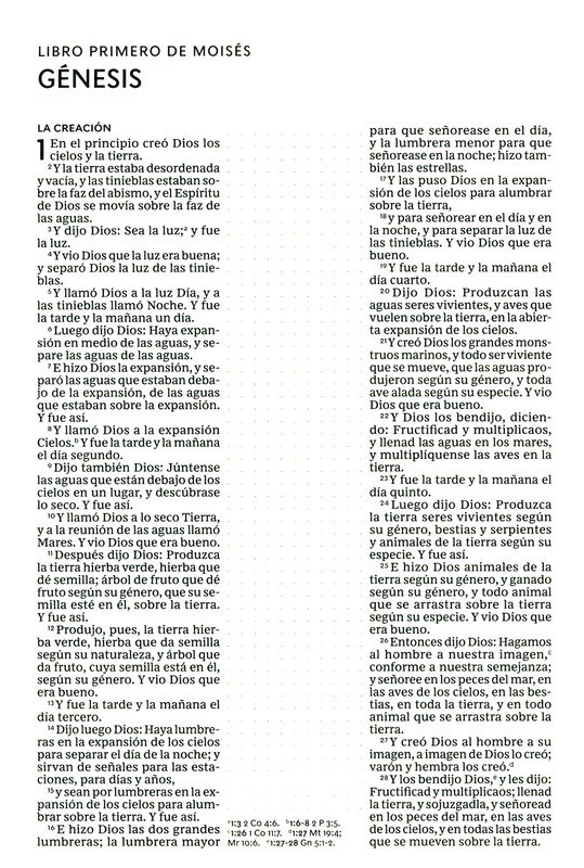 RVR60 Santa Biblia - Edición para Notas - Imitación Piel - Café - Imagen 5