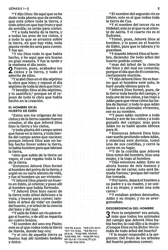 RVR60 Santa Biblia - Edición para Notas - Imitación Piel - Café - Imagen 6