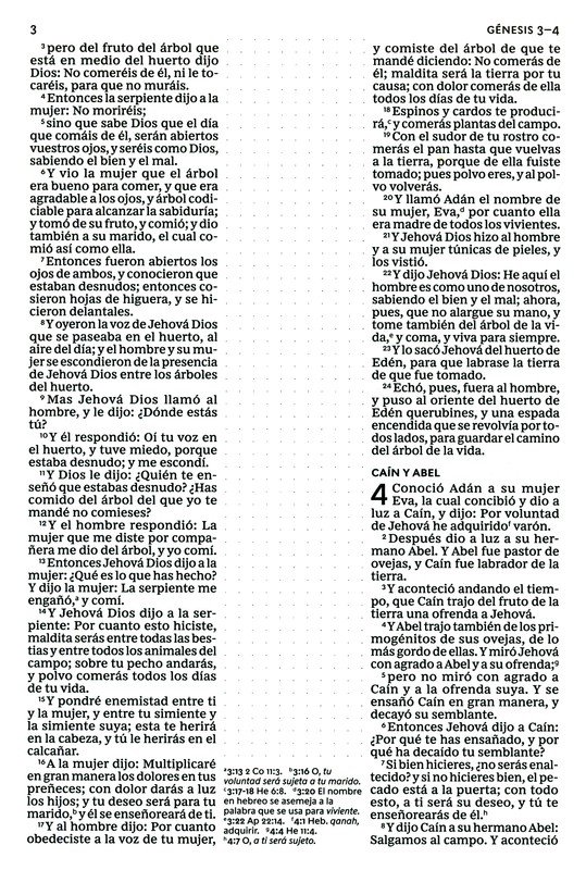 RVR60 Santa Biblia - Edición para Notas - Imitación Piel - Café - Imagen 7