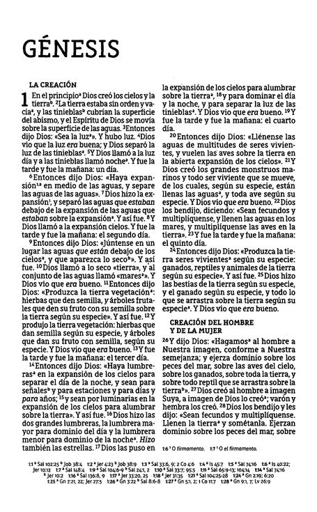 NBLA Santa Biblia, Letra Grande, Flexcover - La Puerta - Imagen 3