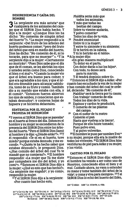 NBLA Santa Biblia, Letra Grande, Flexcover - La Puerta - Imagen 5