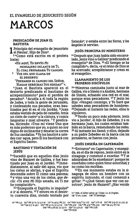 NBLA Santa Biblia, Letra Grande, Flexcover - La Puerta - Imagen 6