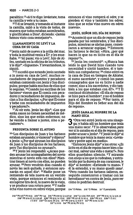 NBLA Santa Biblia, Letra Grande, Flexcover - La Puerta - Imagen 8
