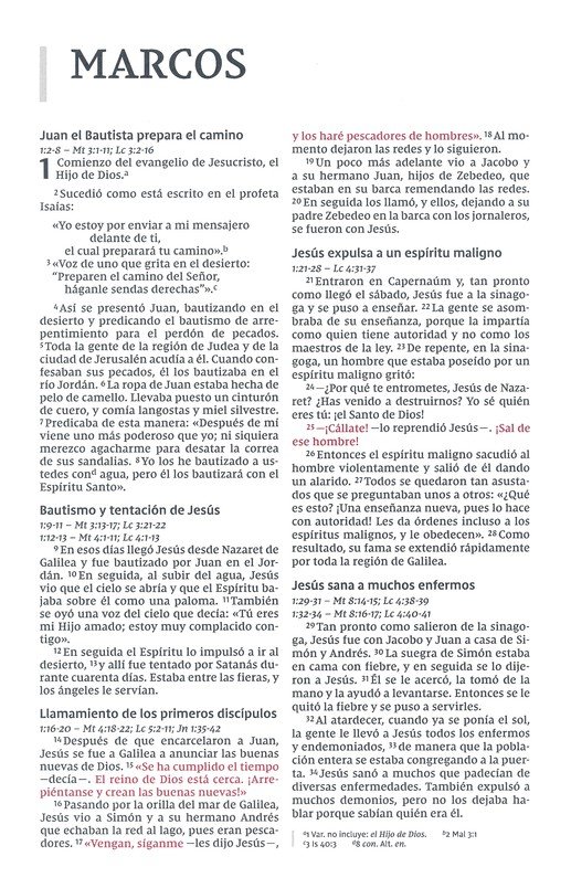 NVI Biblia de la Mamá Ocupada, Imitación Piel, Turquesa - Imagen 13