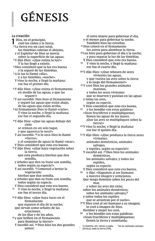 NVI Biblia de la Mamá Ocupada, Imitación Piel, Turquesa - Imagen 8