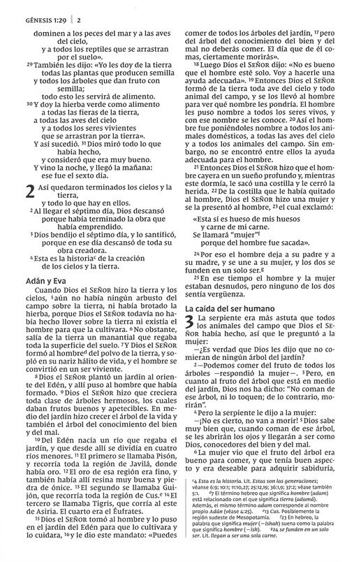 NVI Biblia de la Mamá Ocupada, Imitación Piel, Turquesa - Imagen 9