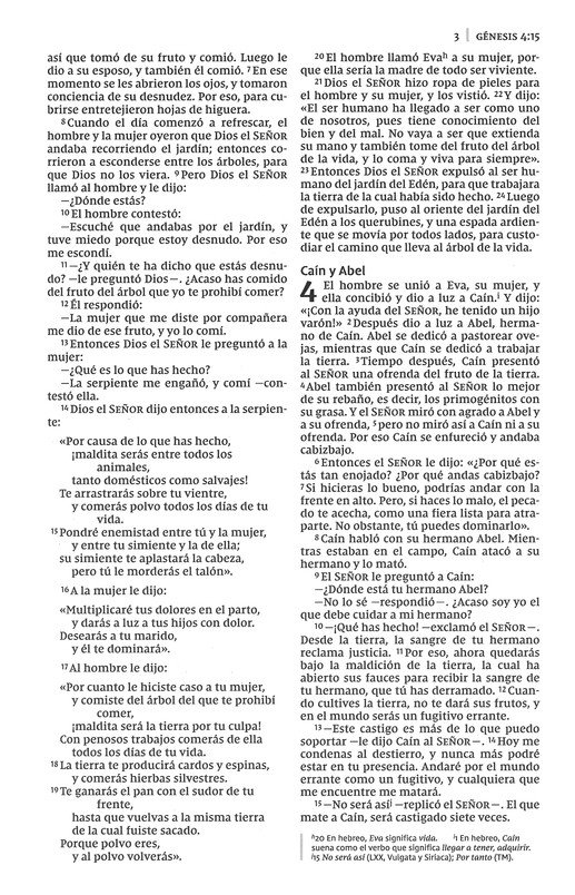 NVI Biblia de la Mamá Ocupada, Imitación Piel, Turquesa - Imagen 10