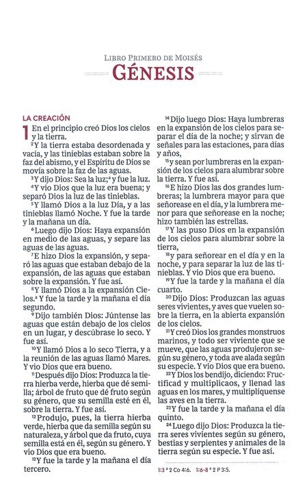 RVR60 Santa Biblia Ultrafina Letra Grande, Imitación Piel Café - Imagen 4