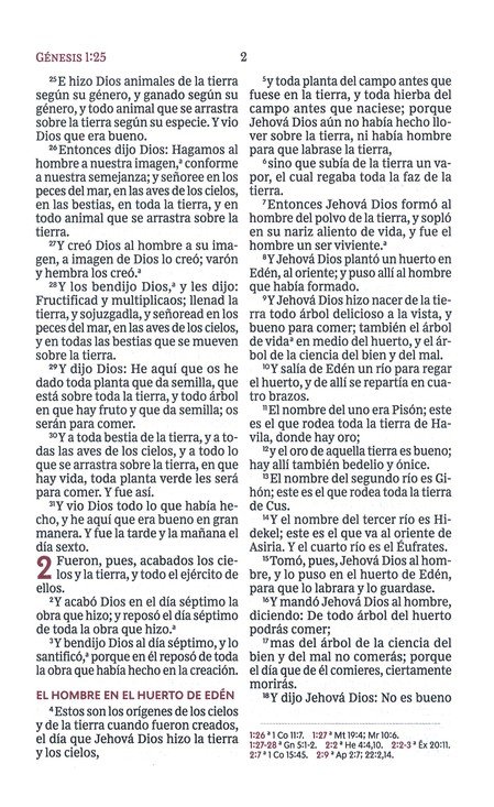 RVR60 Santa Biblia Ultrafina Letra Grande, Imitación Piel Café - Imagen 5